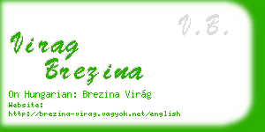 virag brezina business card